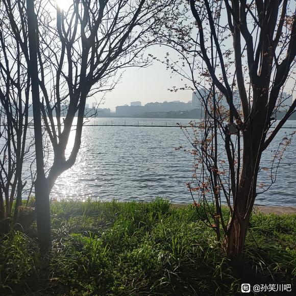 ”观#武汉市暴雨#对戒色有感