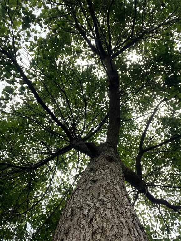 ”戒色养生第一天