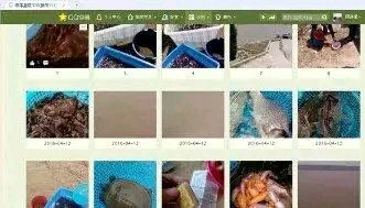 ”星辰经验集合贴1-12季。为你加满动力！