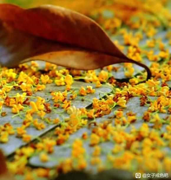 ”让感恩充满你的心