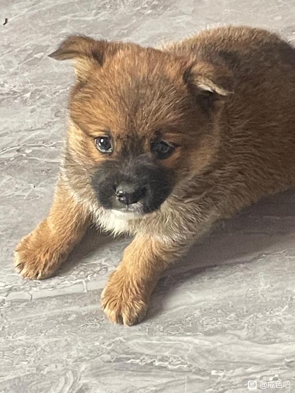 ”戒了243天了神经症还没转好气死我了