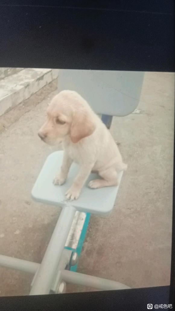 ”戒色的一个很有效的方法