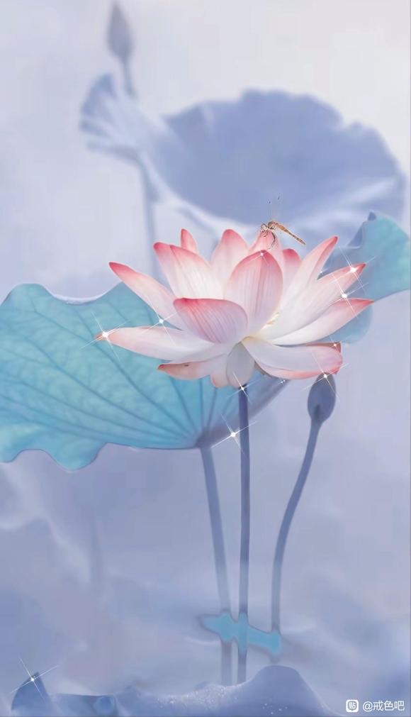 ”请你给你自己一个健康的人生