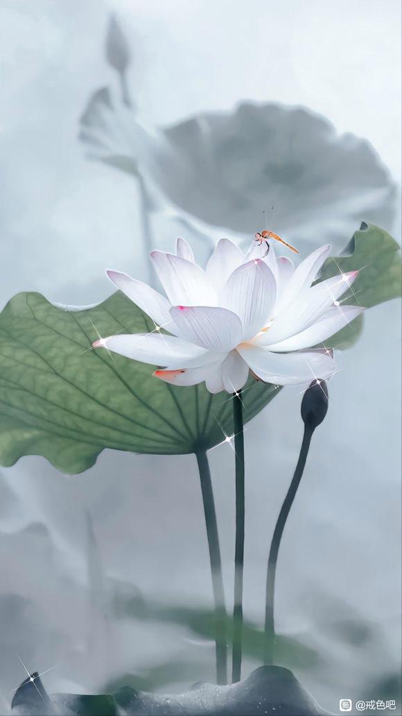 ”请你给你自己一个健康的人生