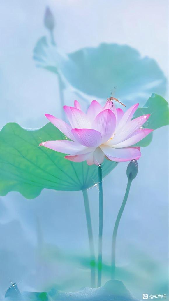 ”请你给你自己一个健康的人生