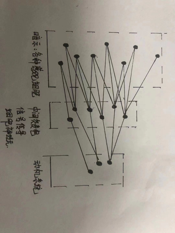 ”致每一位戒友。