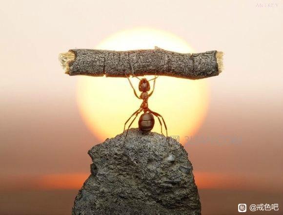 ”《挣脱欲望枷锁：深度解析色情危害与戒色良方》