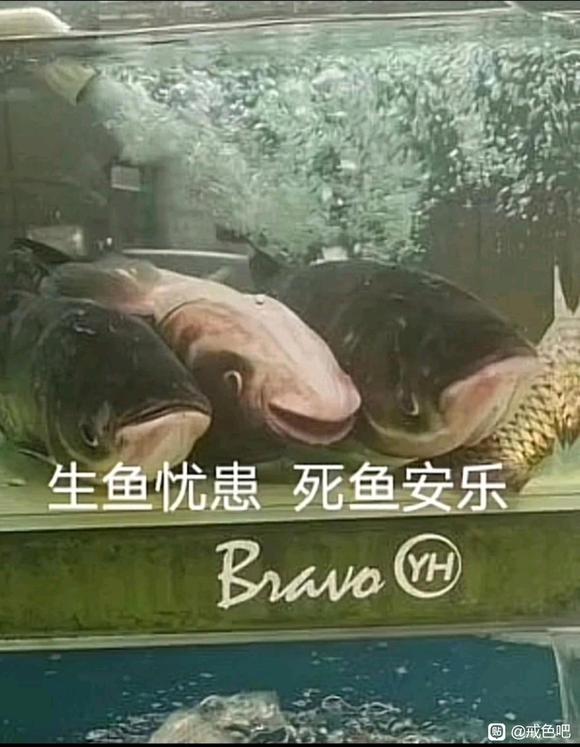 ”每天都是戒色第一天。