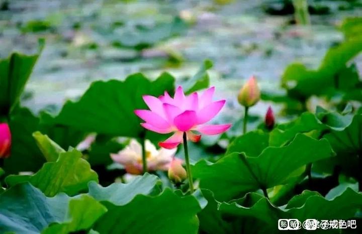 ”分享：行善方法。