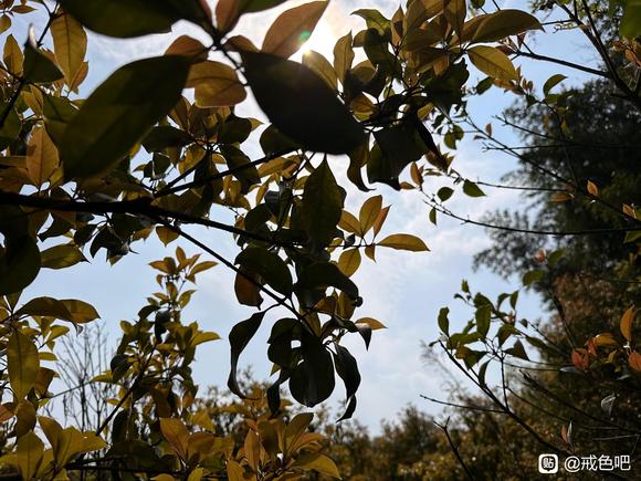 ”在做这些选择的时候，仔细想想！值得吗？