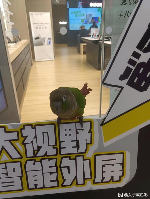 ”通过孝顺父母的方式消除邪…淫