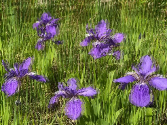 ”在不戒就瞎了