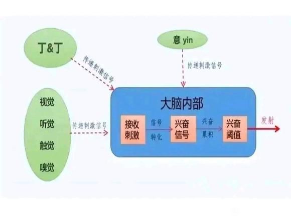 ”分享不吃药，治疗早Xie的经验和方法（经验分享贴）