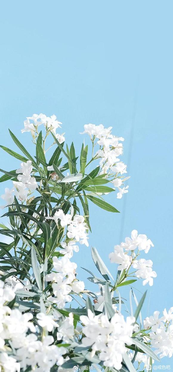 ”希望你有一天终会走出这无限深渊