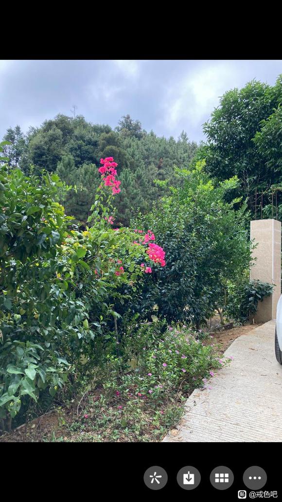 ”只有一条路，自律！