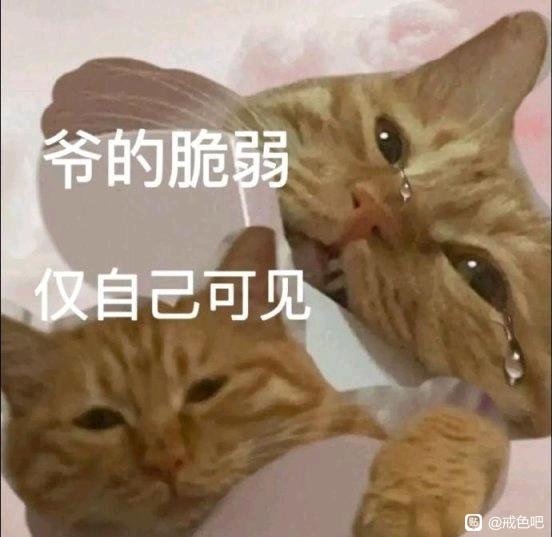 ”不想手冲，但害怕梦遗狼狈