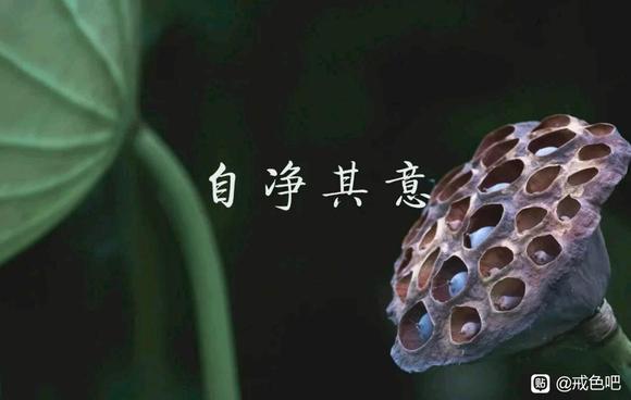 ”为什么色情片比毒品还要严重？