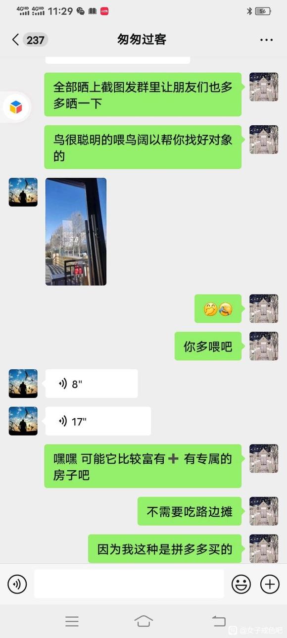 ”冬天要多多喂鸟亲