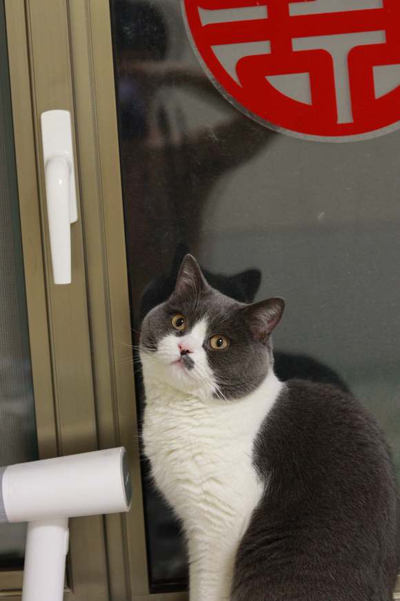 ”婚后有娃戒色修身恢复第八天
