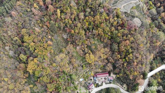 ”总得来大山里吧，戒掉一切烦恼