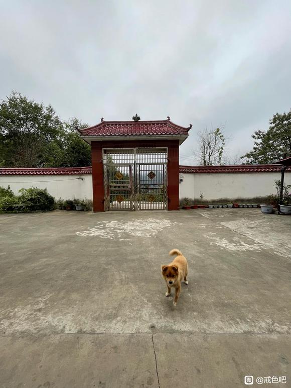 ”总得来大山里吧，戒掉一切烦恼