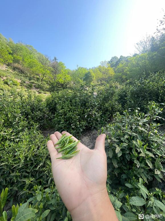 ”大山里，戒成功了