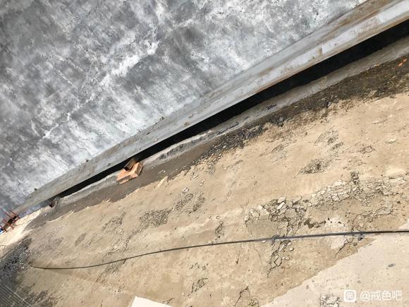 ”哪位大神懂得屋顶防水呀