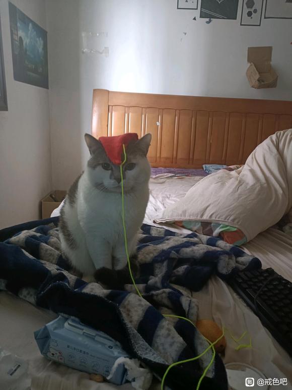 ”不信邪的打手冲，结果终于付出了惨痛的后果