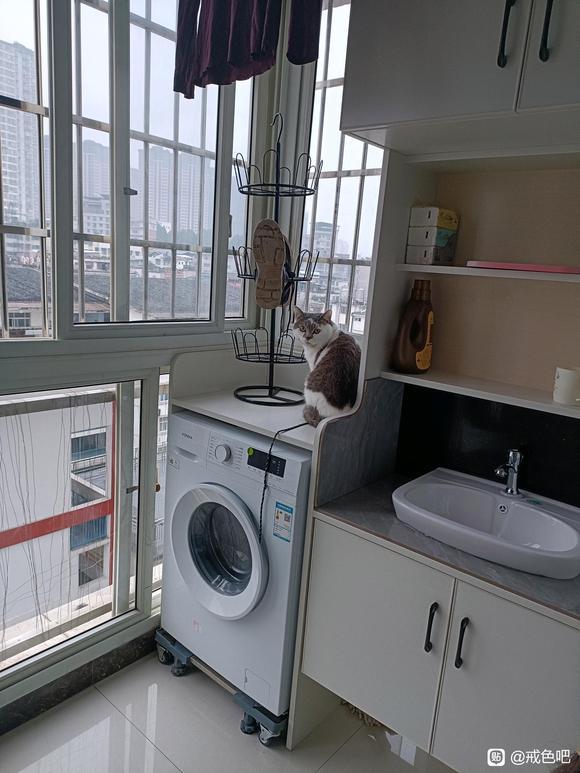 ”不信邪的打手冲，结果终于付出了惨痛的后果