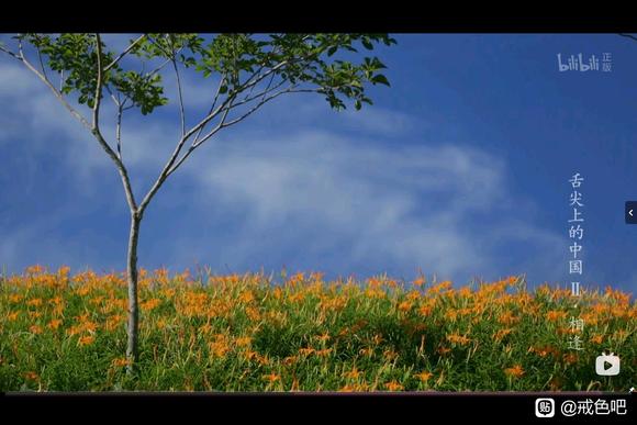 ”戒色26天，大便成型了！