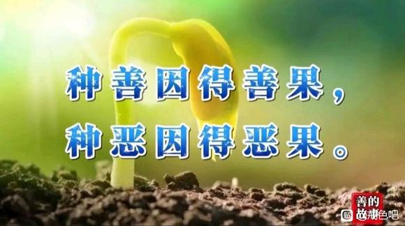 ”不论脑力，耐力，心境，还有人际等等都大幅提升(转)