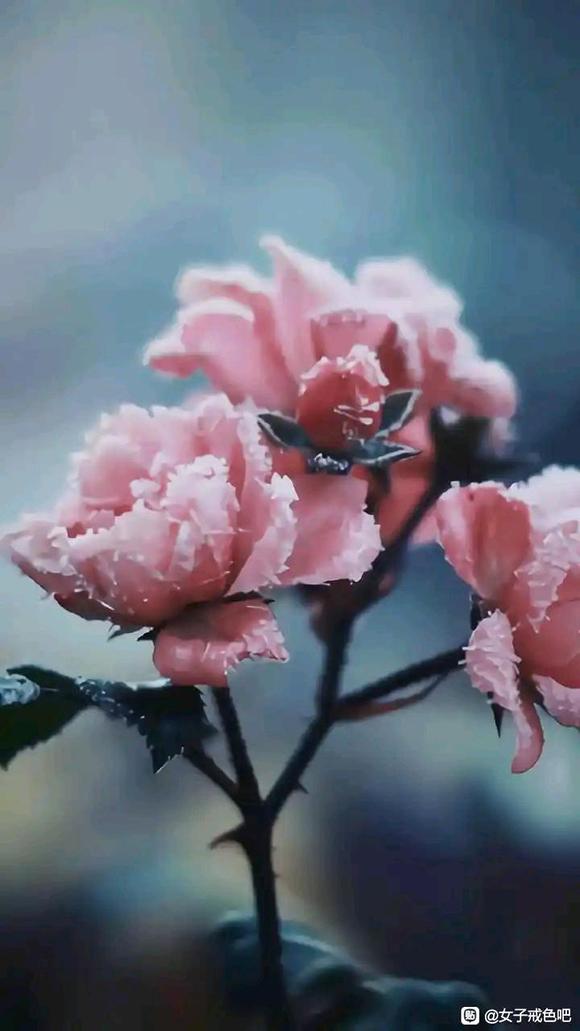 ”【转载】孝顺父母的福报，大到你无法想象！