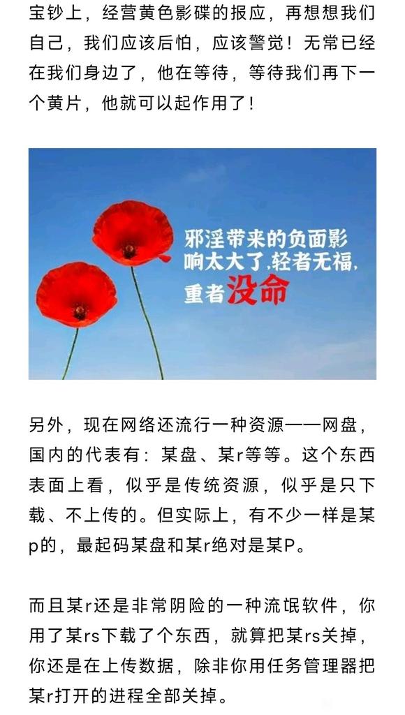 ”果报太大丨劝大家不要下载黄片了（欢迎转发）