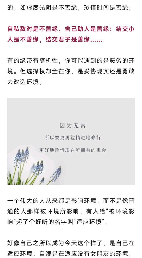 ”如果讨厌现在的自己，为什么不浴火涅磐？