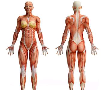 ”戒恋tui的癖好，心得1