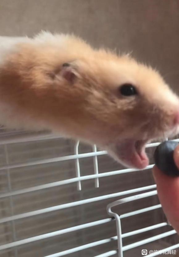 ”道长们道教有没有什么好的戒色方法？