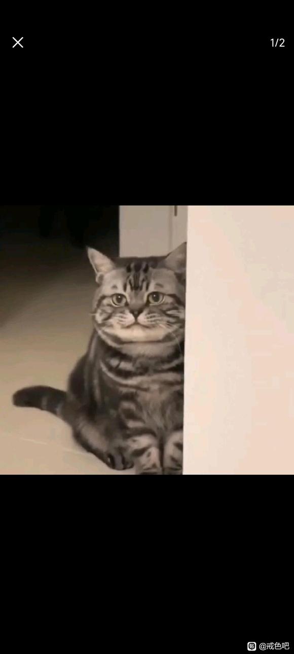 ”戒色打卡第一天加油