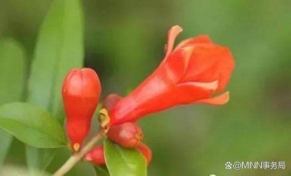 ”善良的人如何保护自己？做人要留个心眼。这很重要，你必须知道（