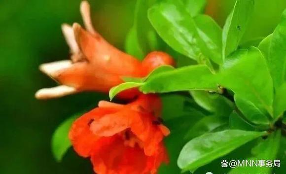 ”善良的人如何保护自己？做人要留个心眼。这很重要，你必须知道（