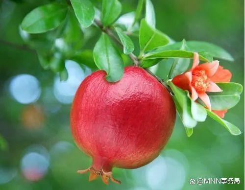 ”善良的人如何保护自己？做人要留个心眼。这很重要，你必须知道（