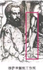 ”一个真相让你放下淫欲