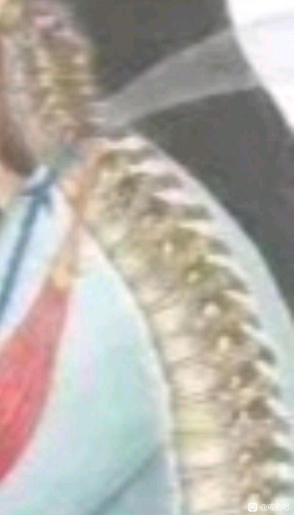 ”一个真相让你放下淫欲