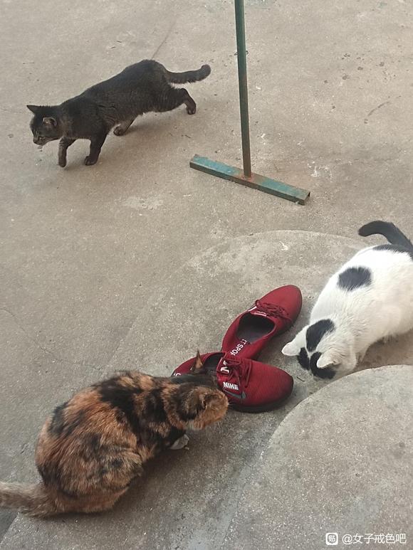 ”戒色需要谨慎言行举止否则继续堕入深渊白白浪费时间几年重蹈覆辙