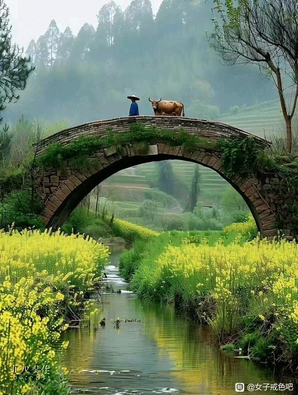 ”玩弄异性会导致肾脏…