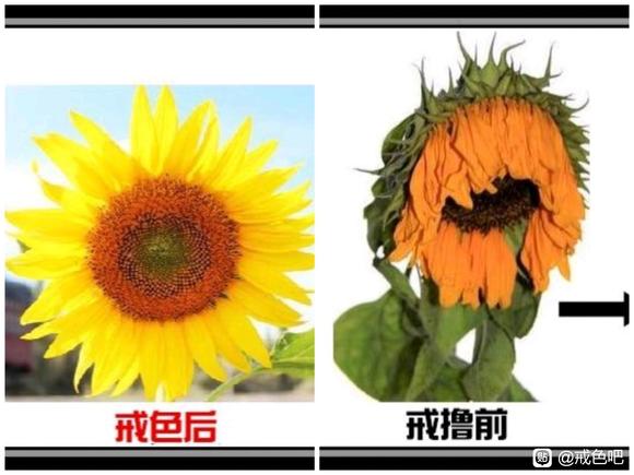 ”【青春励志】（图）戒色戒撸前后对比图，加油朋友