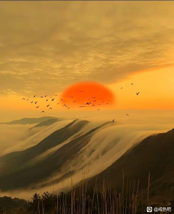 ”百日筑基阶段