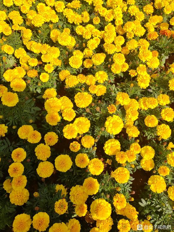 ”不要止步不前