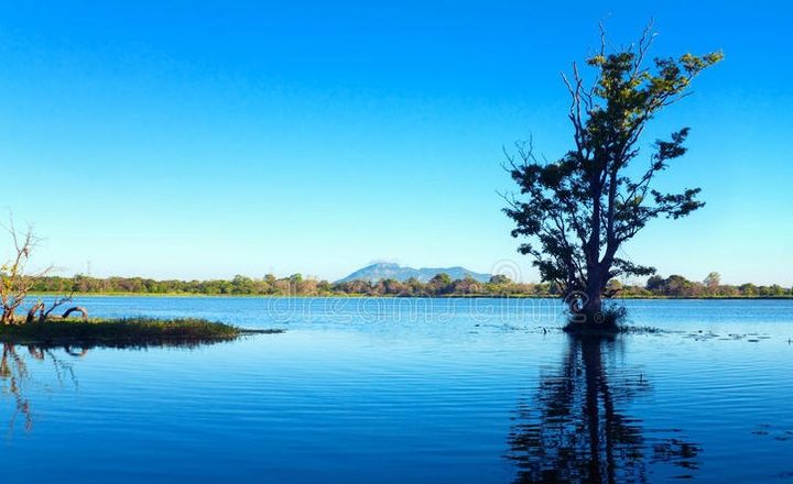 ”分享：《观察自身烦恼》