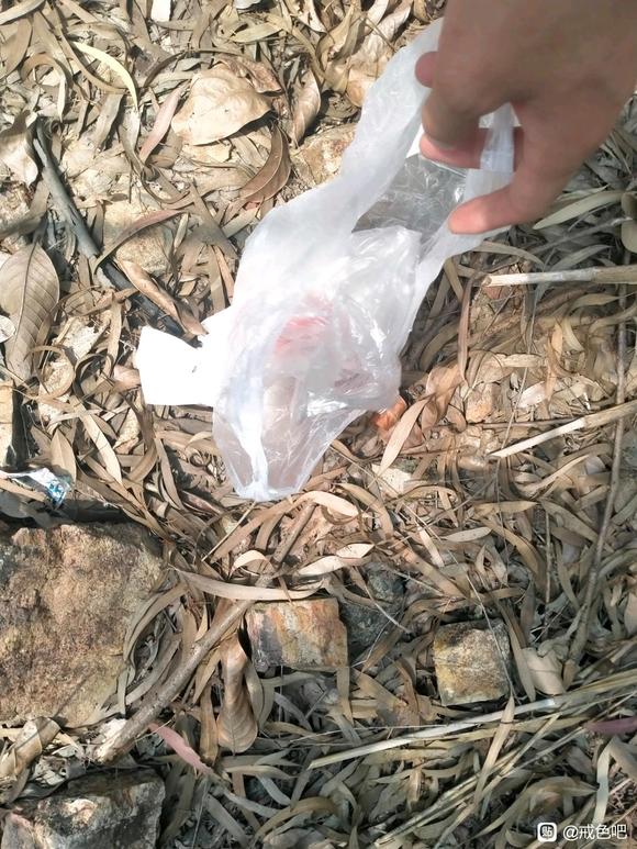 ”今天捡垃圾的图片