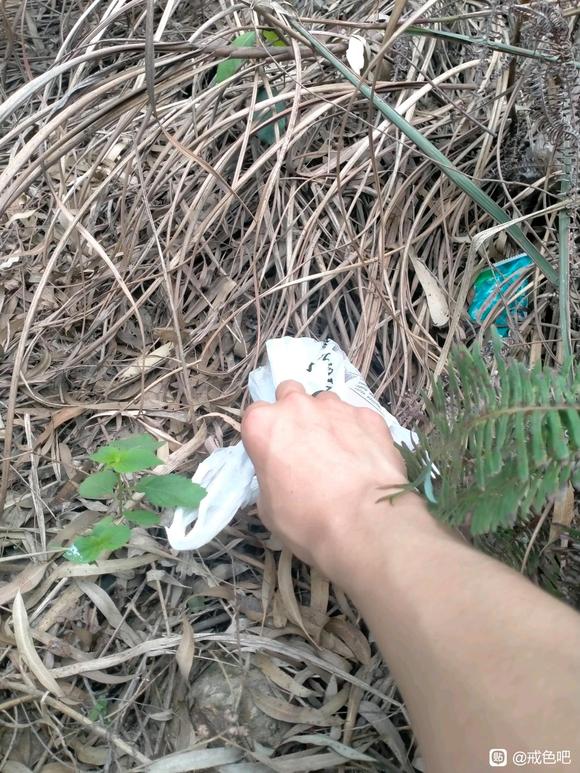 ”今天捡垃圾的图片